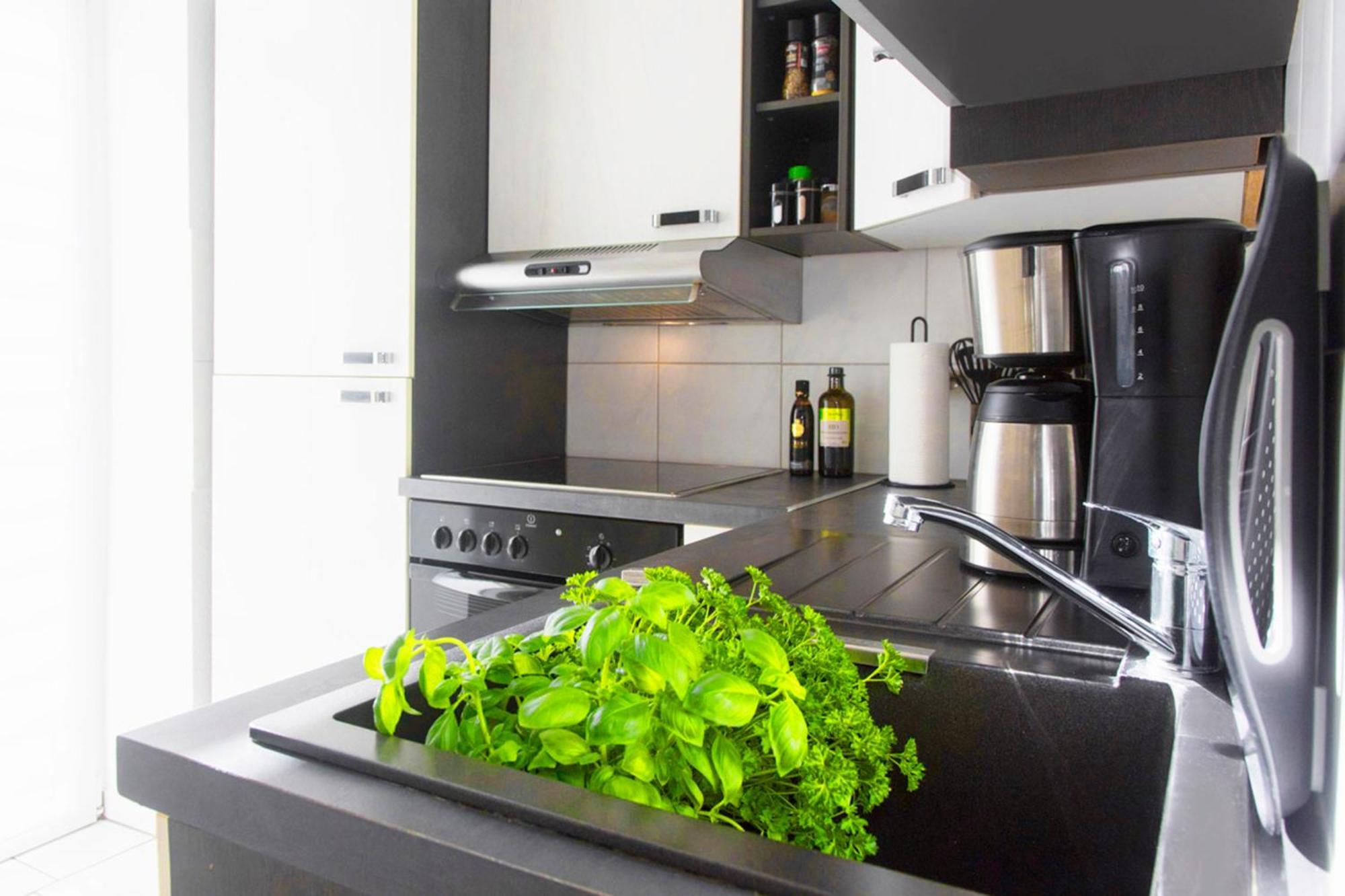 Bauhaus Design-Luxus Apartment, 20Er Jahre Stil, Garten Γκέρα Εξωτερικό φωτογραφία