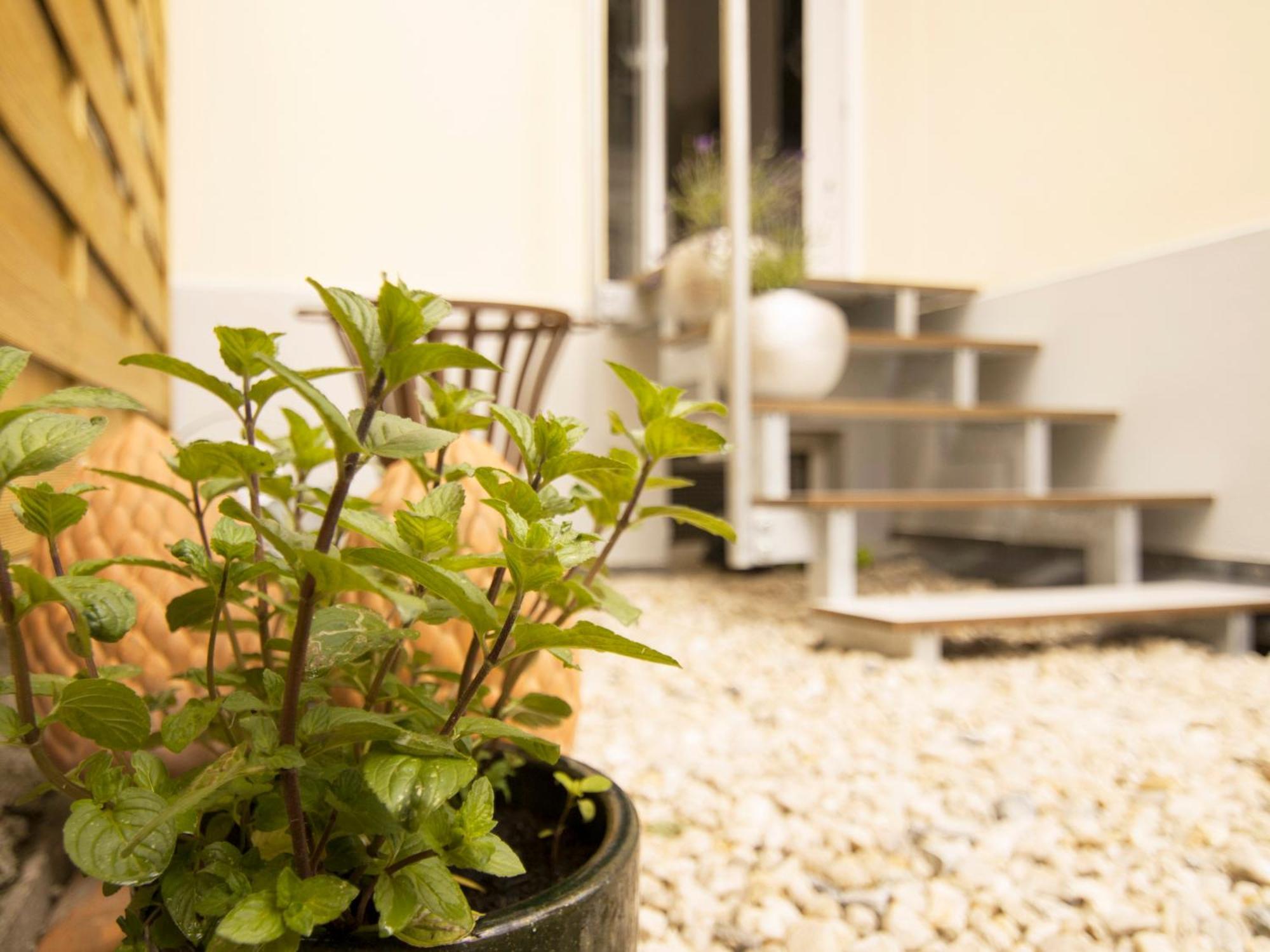 Bauhaus Design-Luxus Apartment, 20Er Jahre Stil, Garten Γκέρα Εξωτερικό φωτογραφία